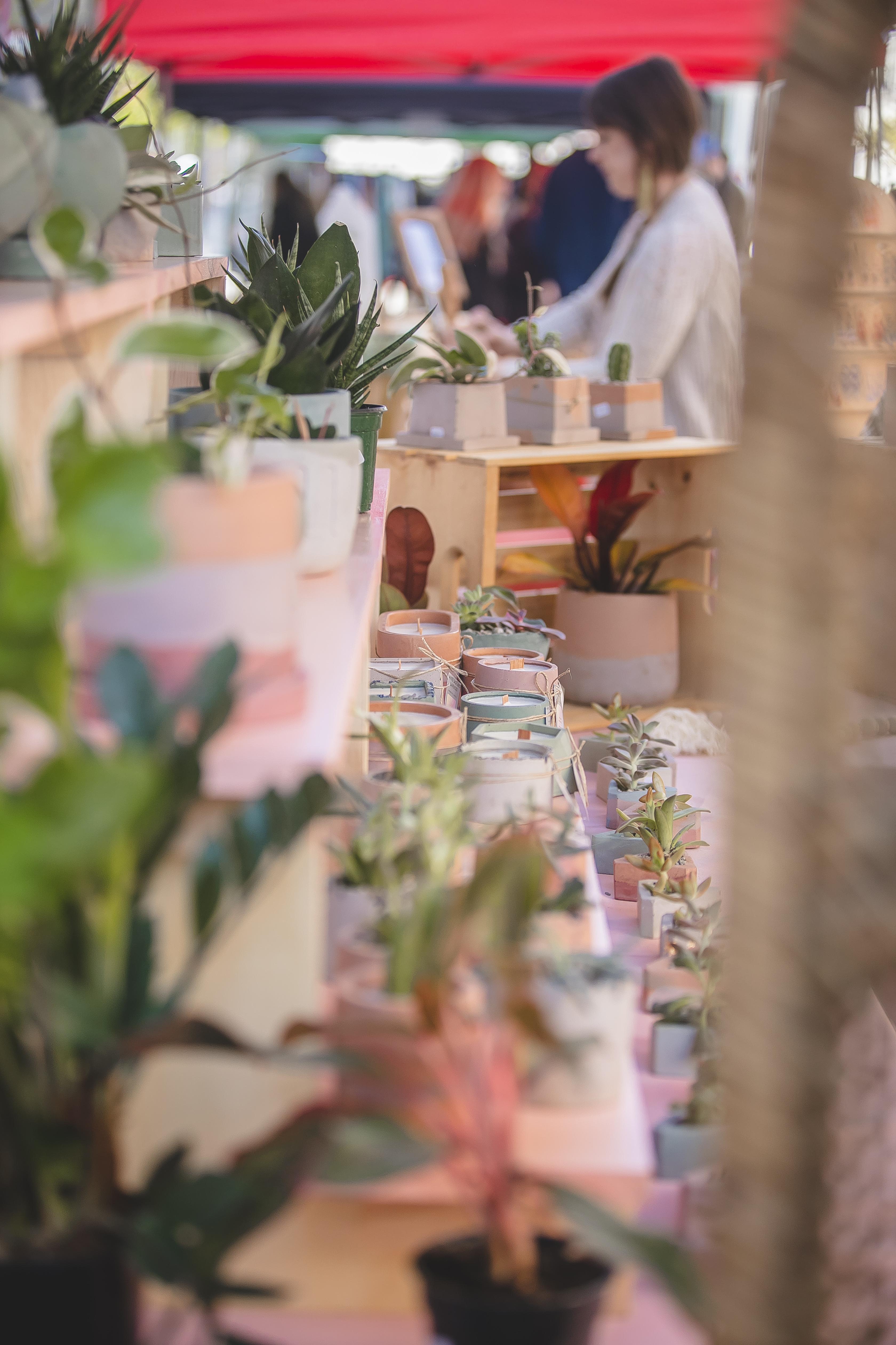 Flowers + House Plants